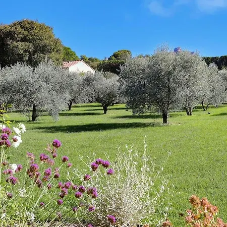 Domitia Splendid View 5mn Walk From Center Of Remy *